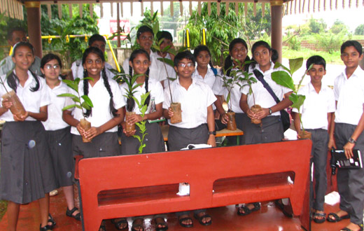 Adopt A Tree, Mangalore